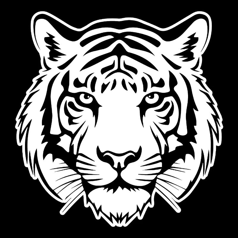 Tiger Big Cat