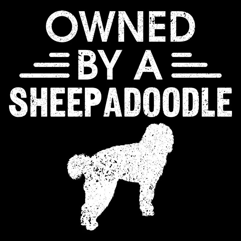 Sheepadoodle Doodle Hund