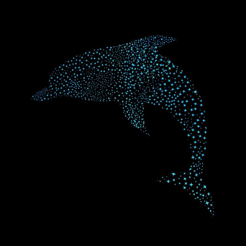 Niedlicher Delphin Mignon Dauphin