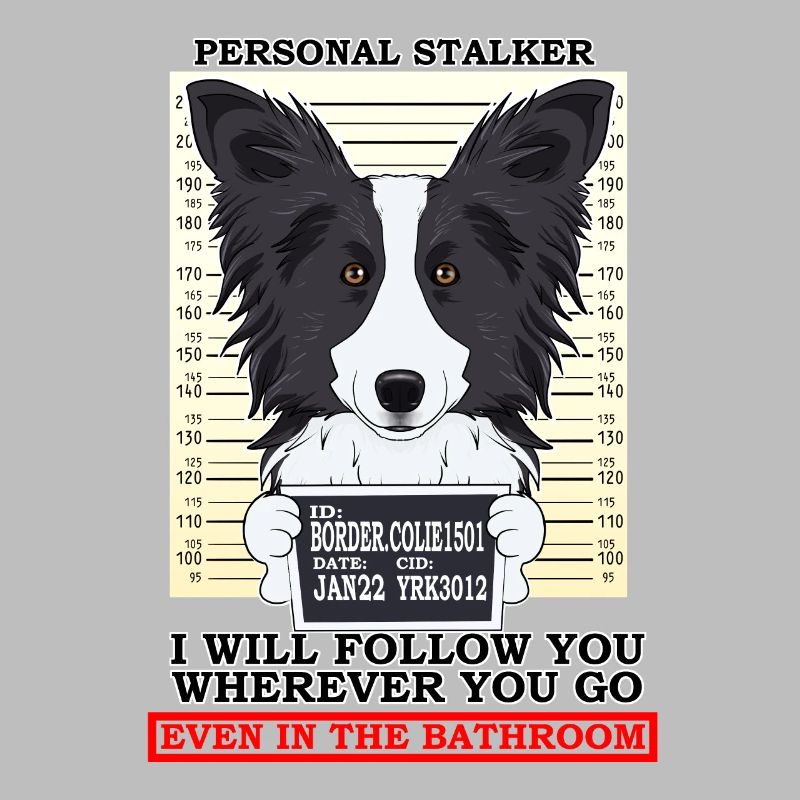 Border Collie Personal Stalker Suivez-vous