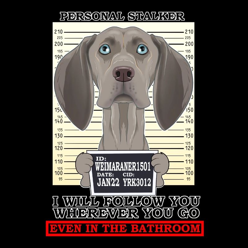 Weimaraner Personal Stalker Ill Follow You