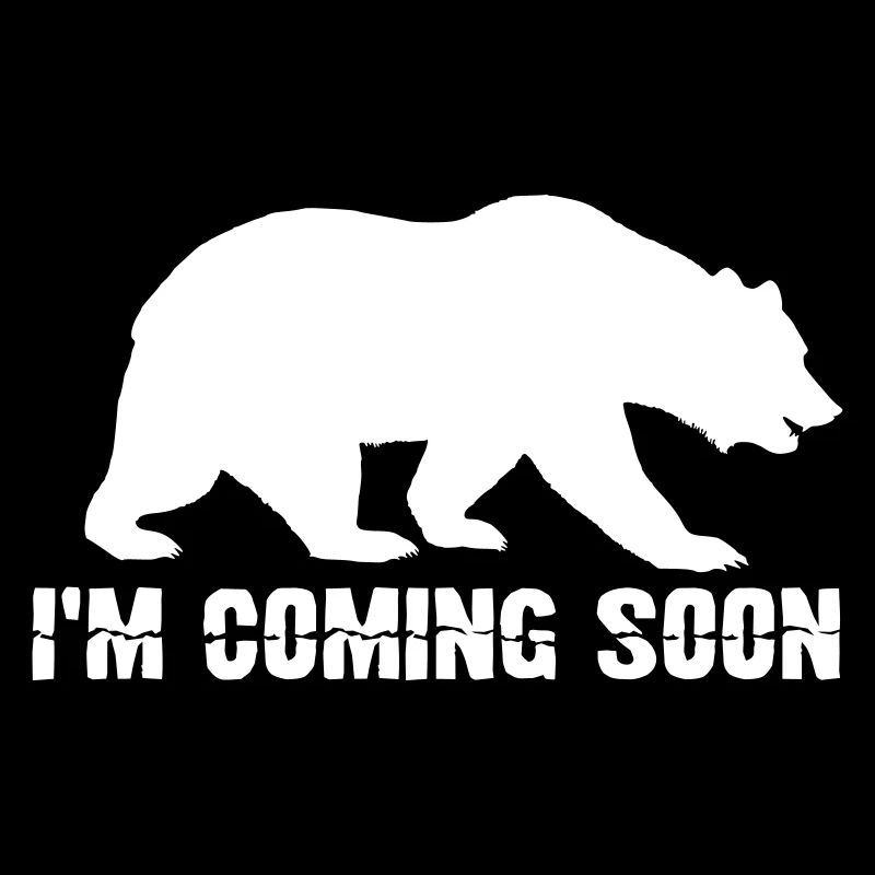 Bear Brown Bear Bears
