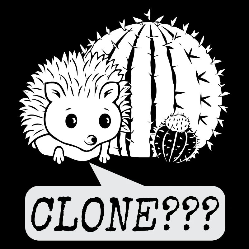 idee cadeau hérisson cactus design humour clone