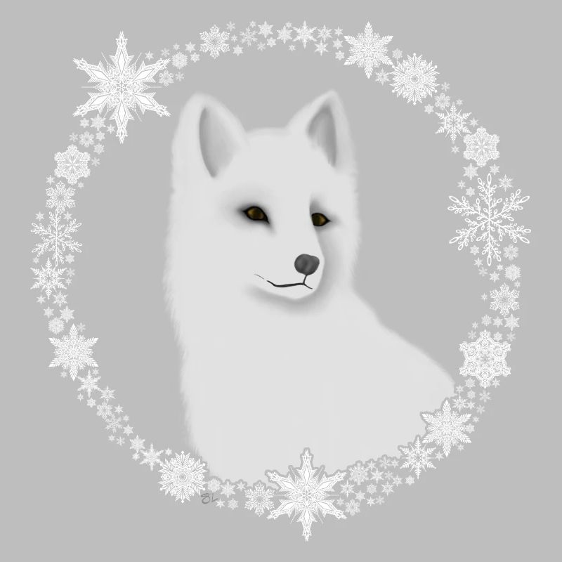 Arctic fox