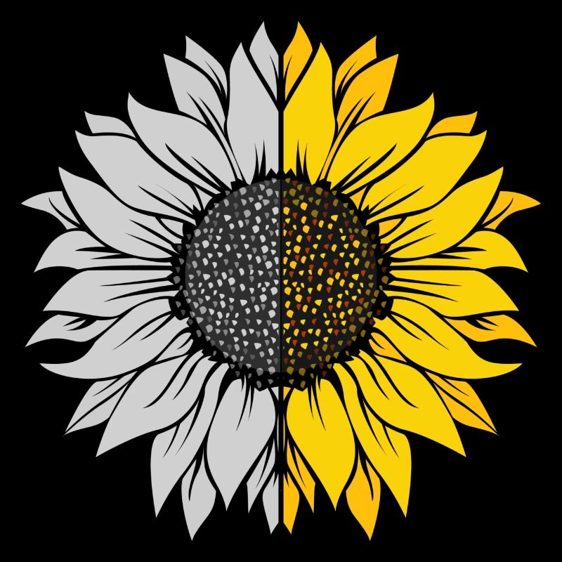 Sonnenblumen