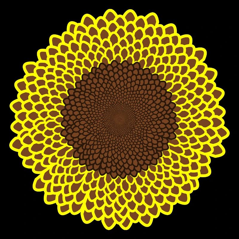 Blühende Sonnenblume in strahlendem Gelb