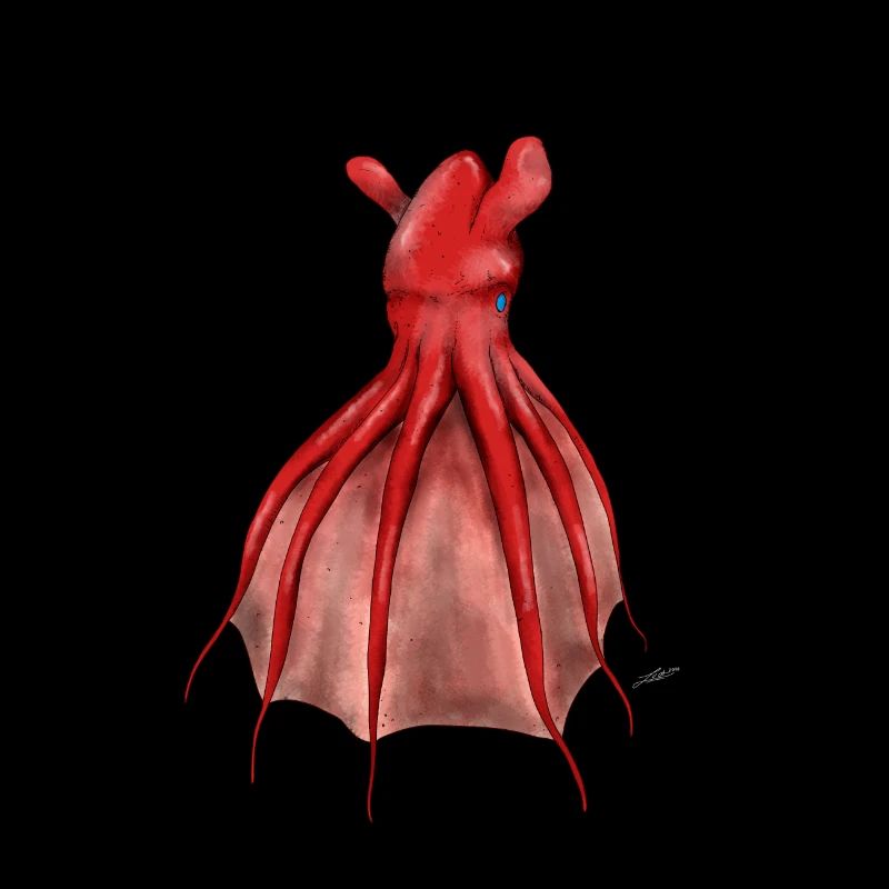 VAMPYROTEUTHIS INFERNALIS