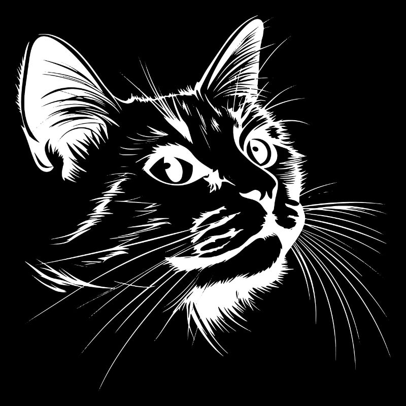 Chat, Motif De Chat, Visage De Chat