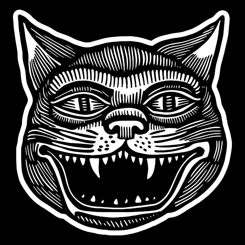 Chat Chats Chat Dame Chat Amoureux Chat Visage