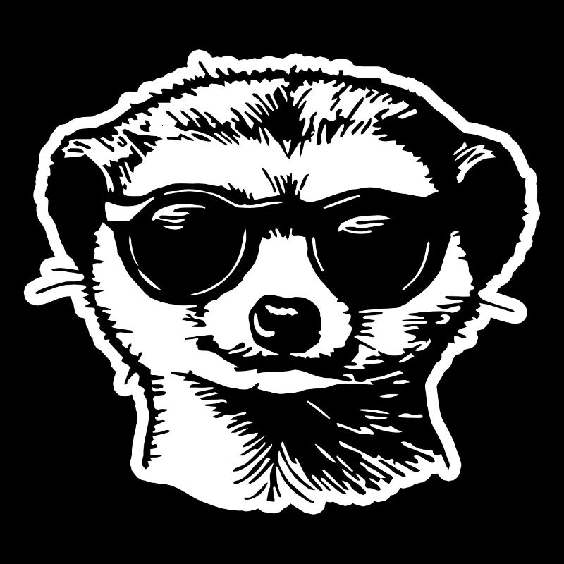 Meerkat