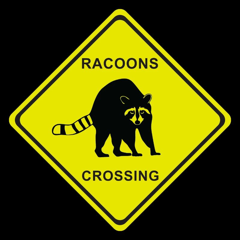 RACOONS CROSSING