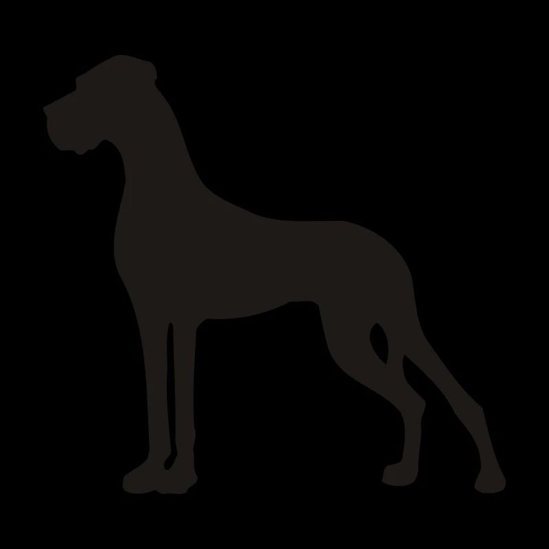 Smallest Great Dane in the state