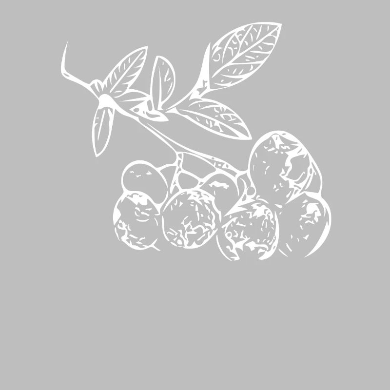 Berries - Fruit - Natural / White