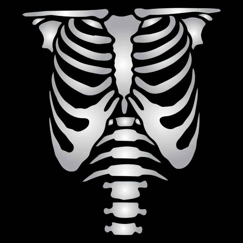 Human skeleton bones torso