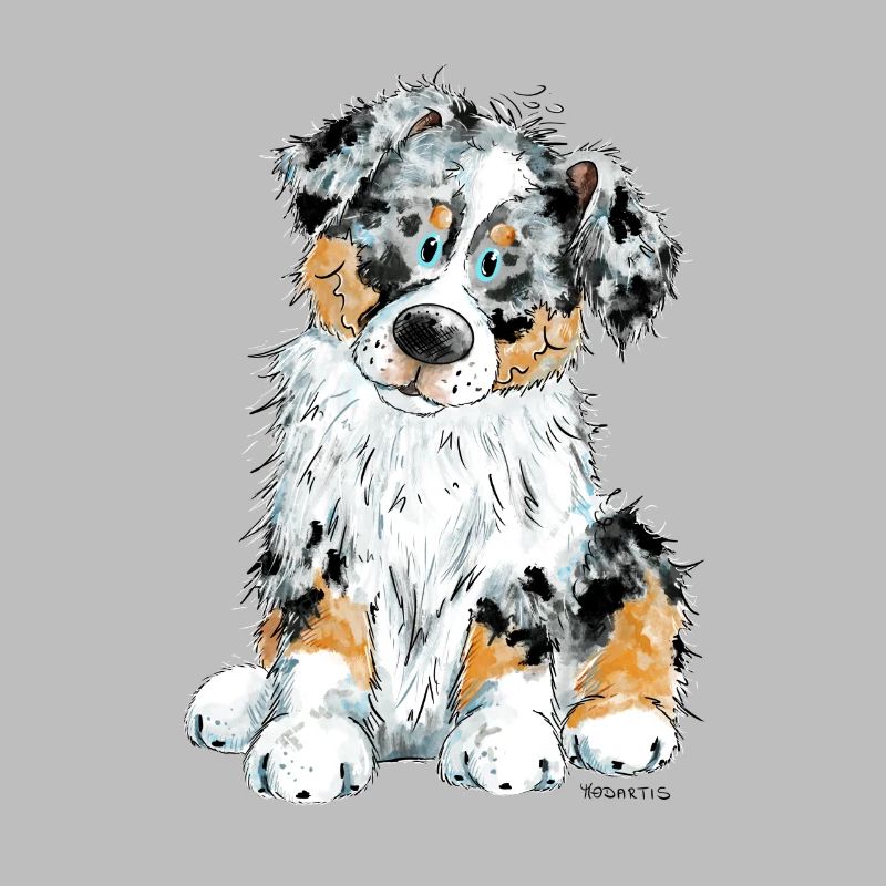 Australian Shepherd Hund Aussie