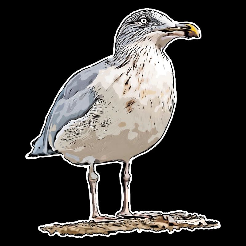Mouette