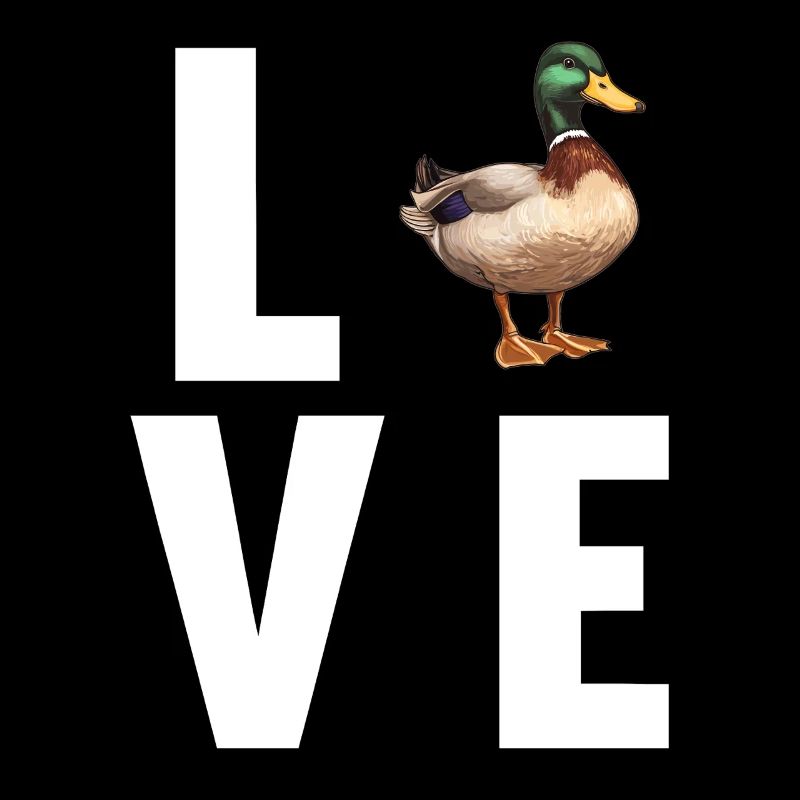 Canards Canard