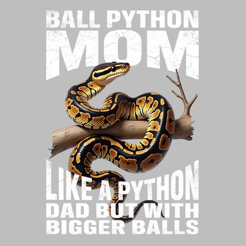 Königspython Mom Mama Schlangen Terrarium Python