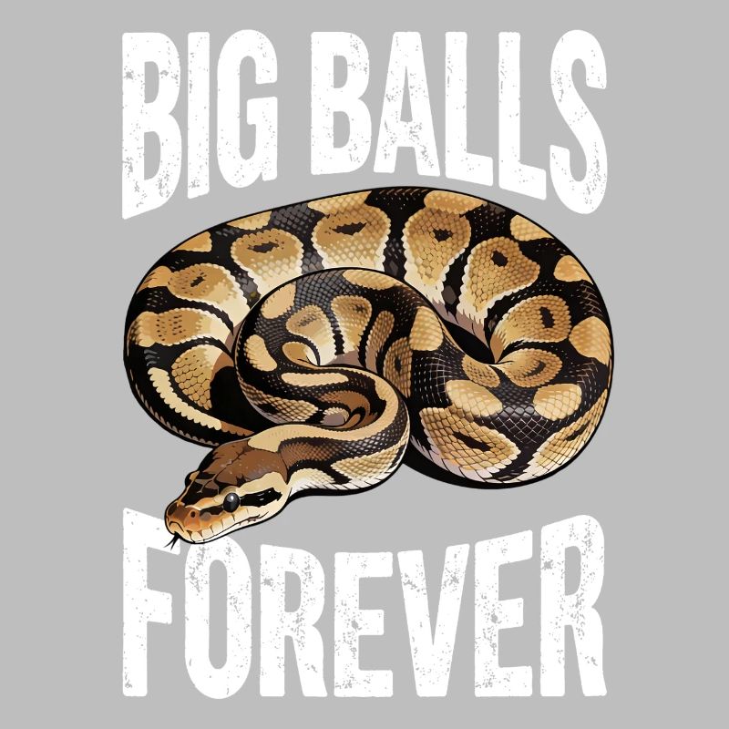 Python roi Serpents Amateurs de terrarium Python