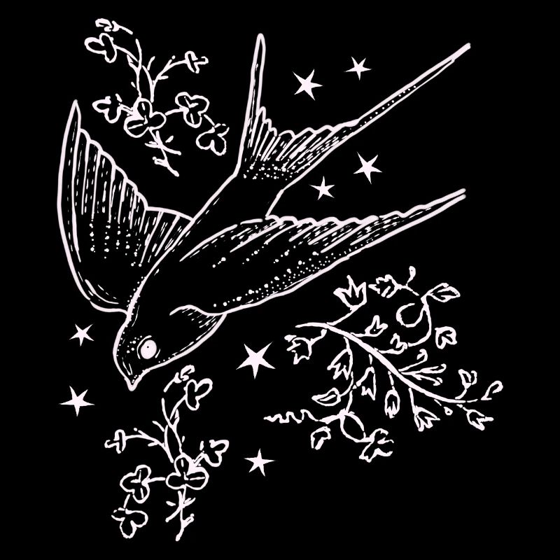 Swallow flight in star flight