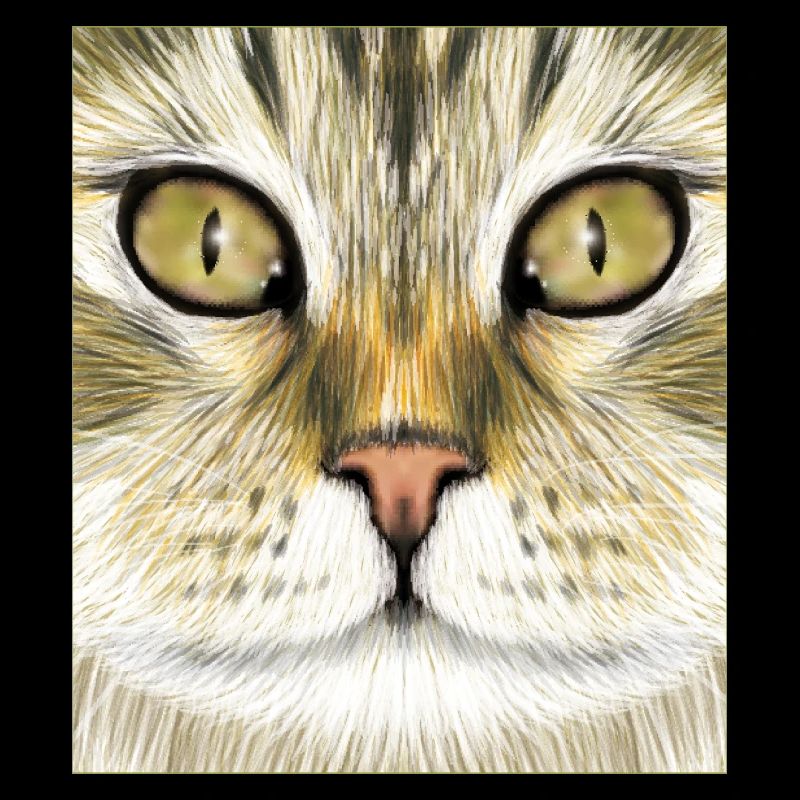Chat des forêts norvégiennes