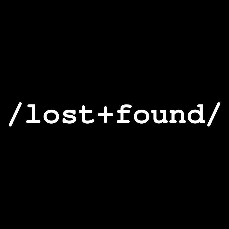 Lost+Found - Ordner /lost+found/