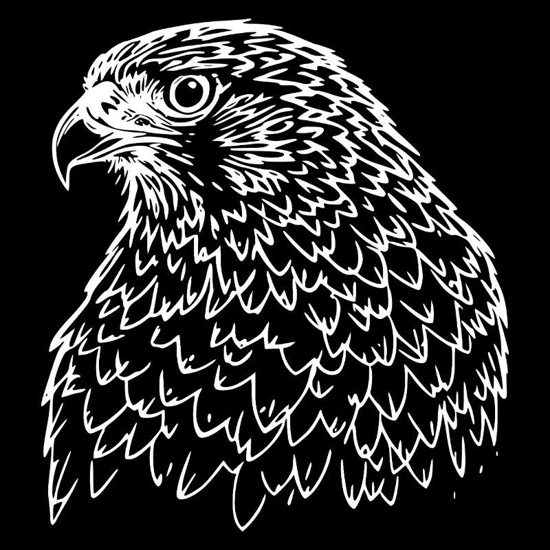 Falcon Head