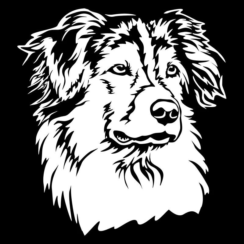 Australian Shepherd Kopf "Black Edition"