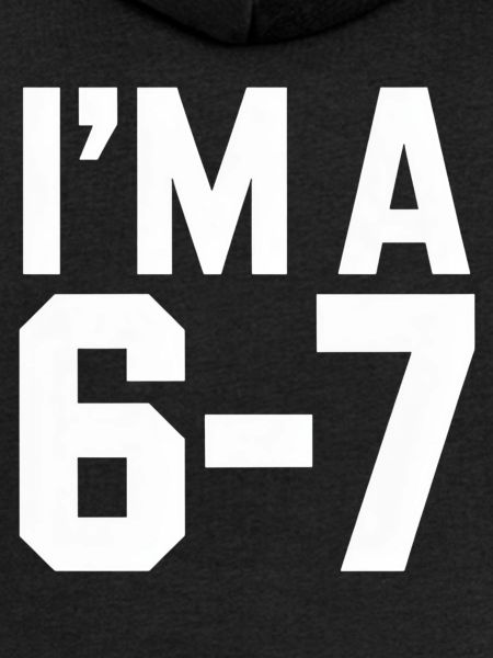 I'M A 6 7 Funny Saying Humor