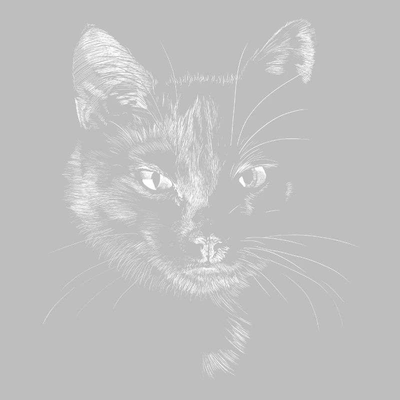 Schwarze Katze