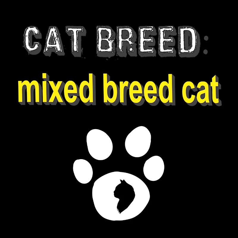 cat Breed: Mixed Breed Cat, Tier Tatzen, mix Katze