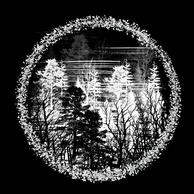 Forest Circle Silhouette Forest Landscape