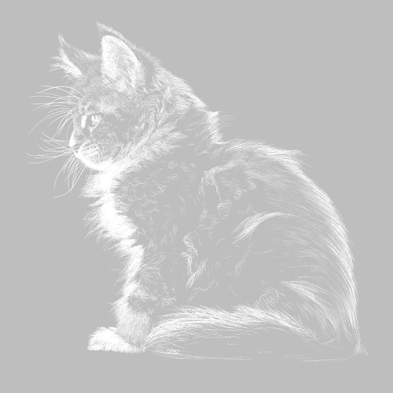 Kitten