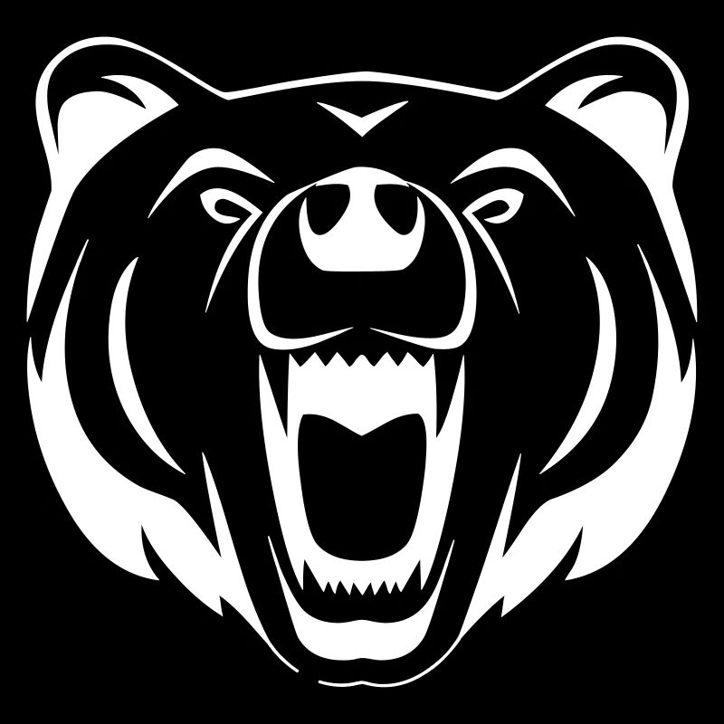 An angry bear