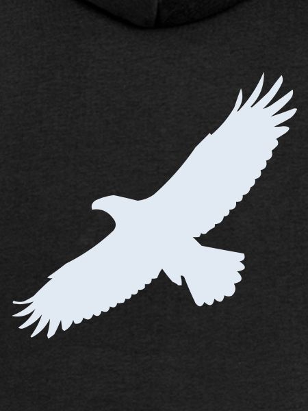 Aigle