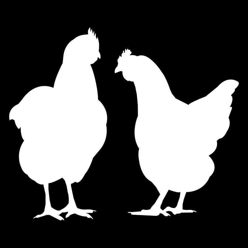 Chickens Hens Chicken Poultry Poultry