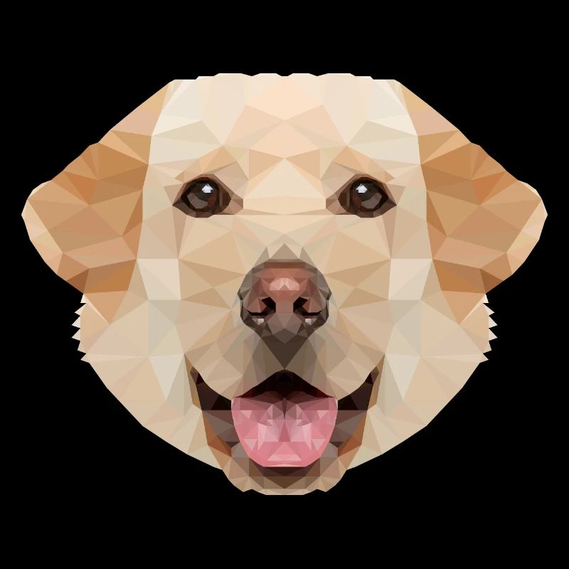 Labrador Polygon Hund