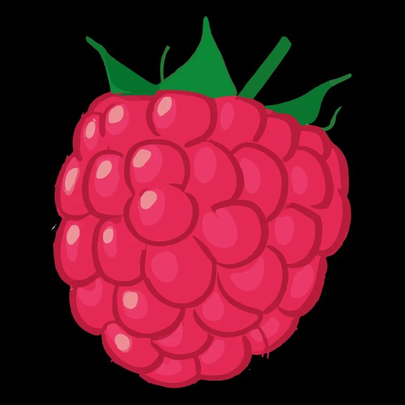 Himbeere Illustration Geschenkidee