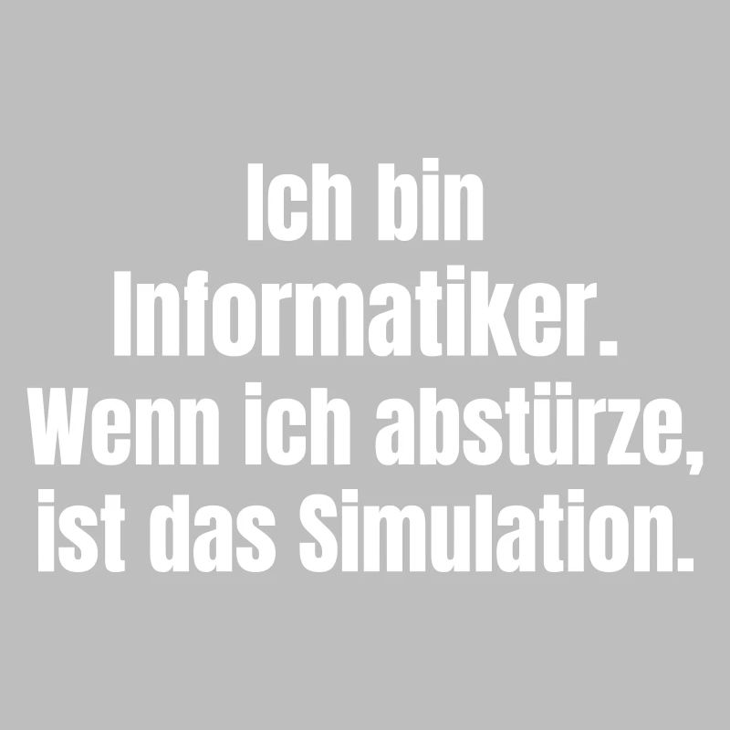 Ich bin Informatiker – Absturz als Simulation