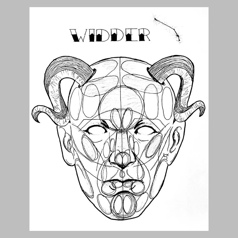 Widder