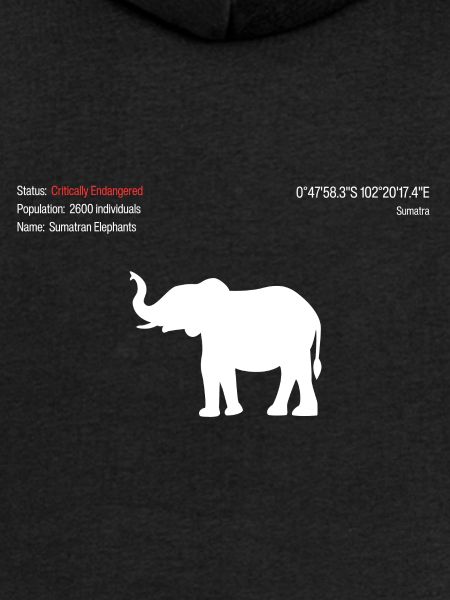 Éléphant