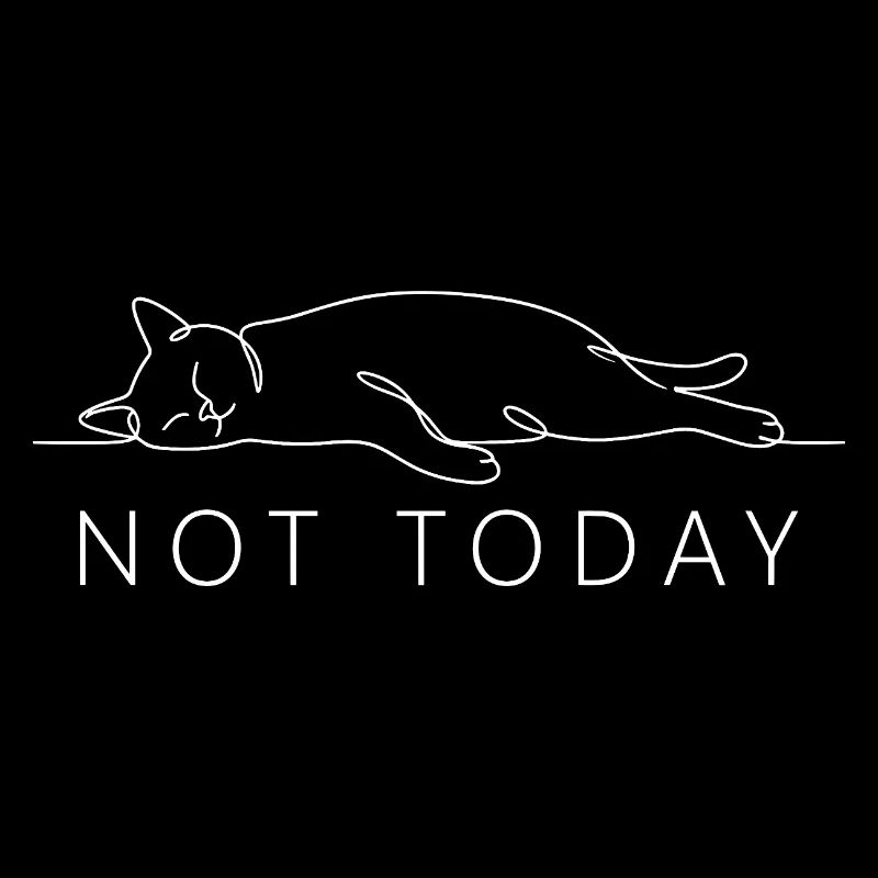 Cat Saying Not Today Office Cat Home Office Cat