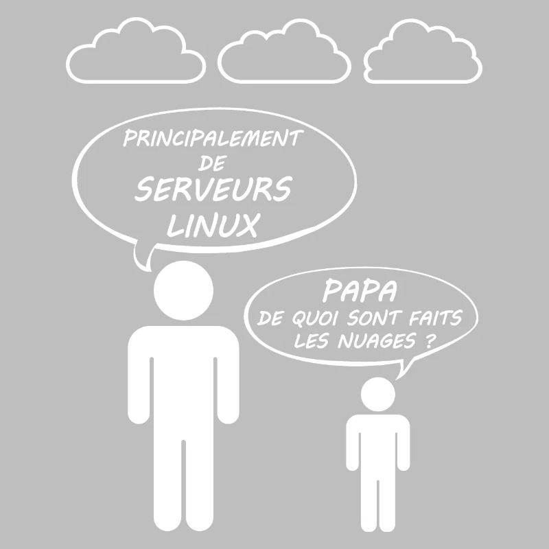 Humour Informatique Informaticien Cloud Computing