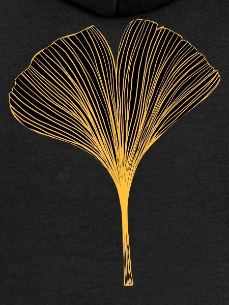 Ginkgo