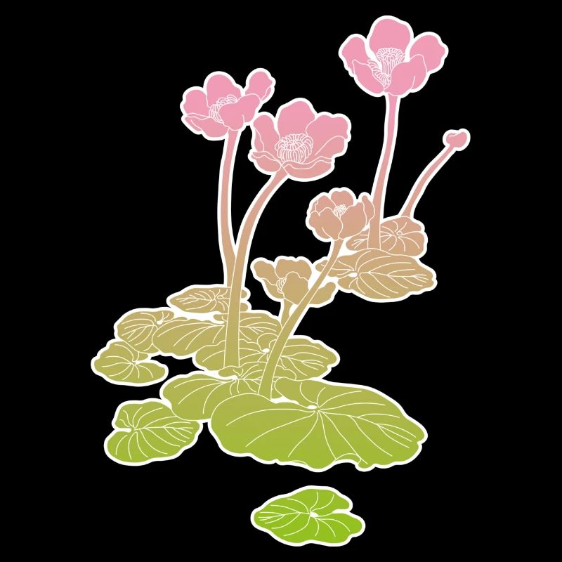 Water Lily