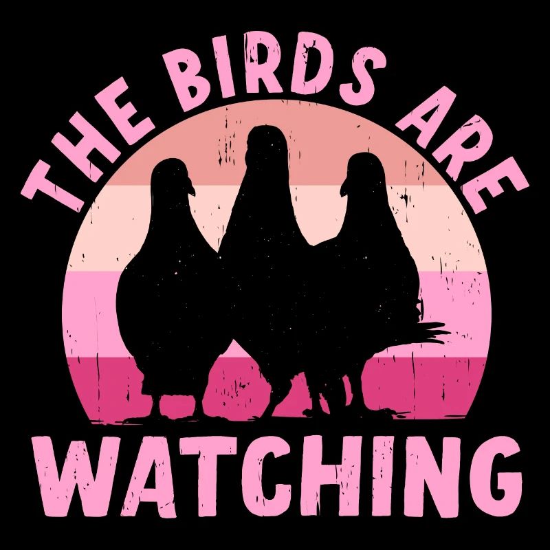 Les oiseaux observent