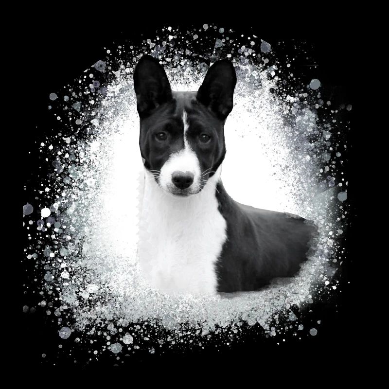 basenji,chien,graffiti,peinture