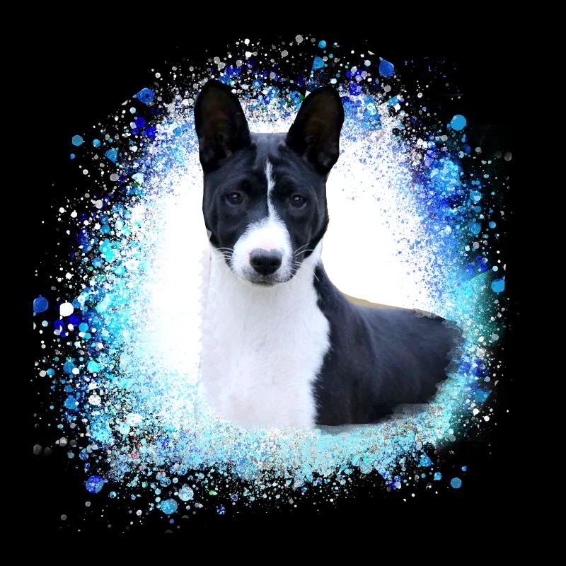 basenji,chien,graffiti,peinture