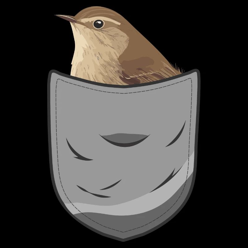 Zaunkönig Vogel