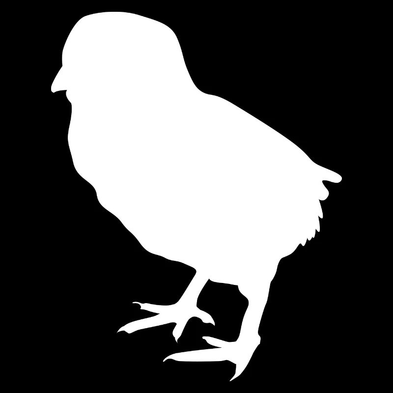 poussin